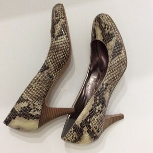 STEVE MADDEN Leopard Print Pumps Size 8.5